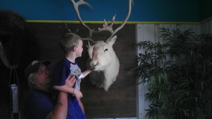 Picture